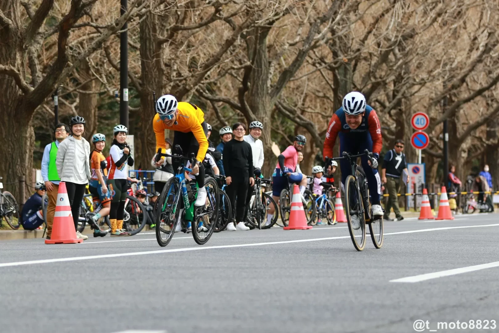 神宮外苑の並木道を、参加者が自転車で並んで走る